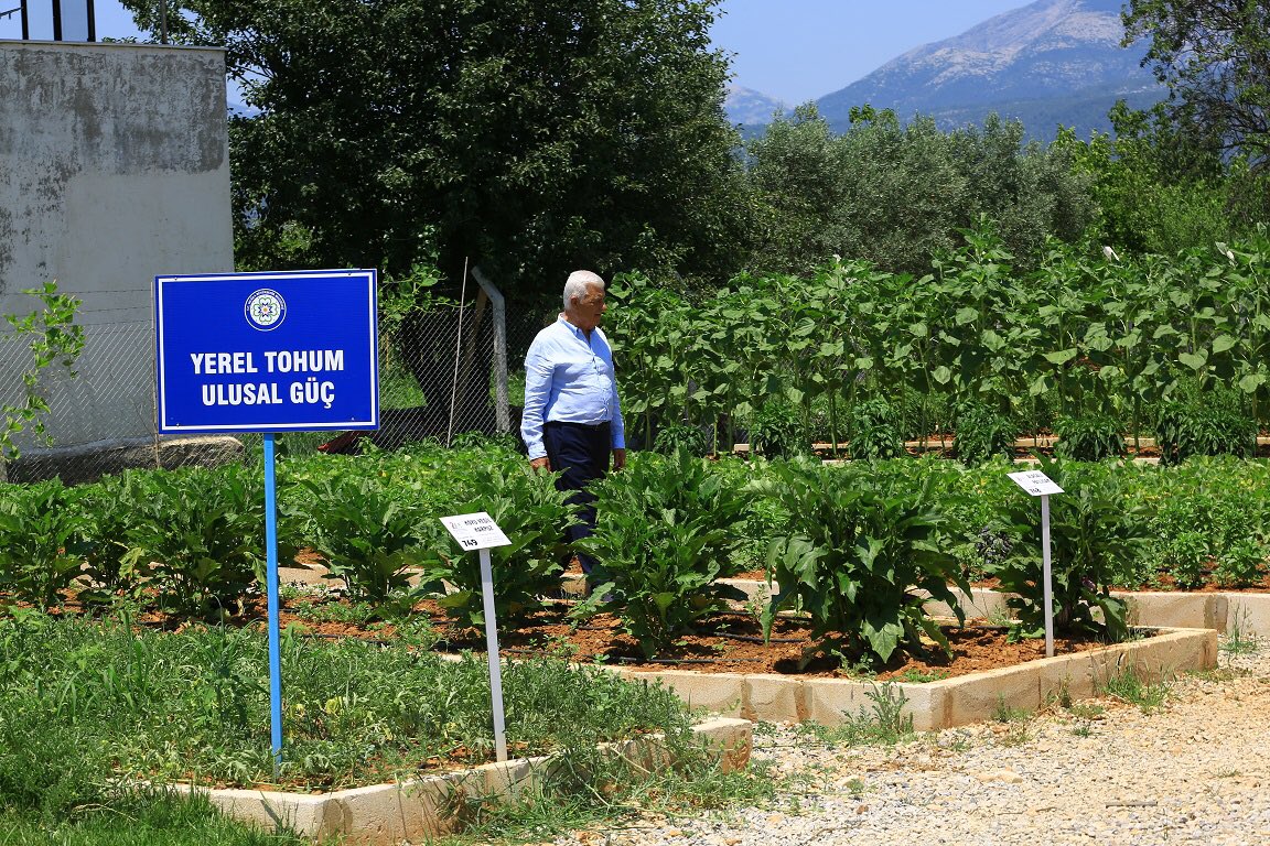 Osman Gürün
