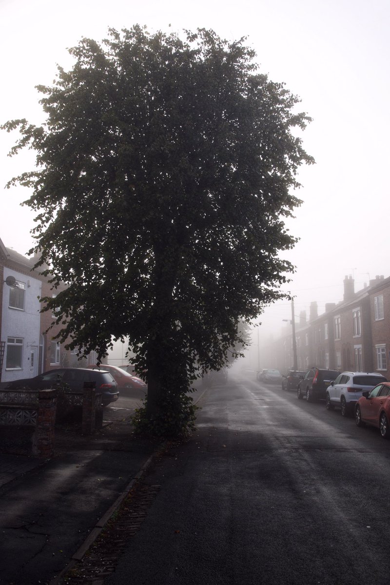 imagewich's tweet photo. ITS FOGGY 😀. #Barnton #street #Cheshire #fog #weather #StormHour #ThePhotoHour #TuesdayMorning #tuesdayvibes #TuesdayTreat #photo #ArtistOnTwitter #PhotographyIsArt https://t.co/DAsPSviYM1