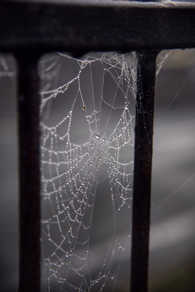 ITS FOGGY 😀. #Barnton #street #Cheshire #fog #weather #StormHour #ThePhotoHour #TuesdayMorning #tuesdayvibes #TuesdayTreat #photo #ArtistOnTwitter #PhotographyIsArt