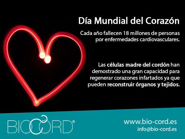 Las #célulasmadre del cordón han demostrado una gran capacidad para regenerar corazones infartados ya que pueden reconstruir órganos y tejidos.

+Info >> bit.ly/3kWA7z8 ♥️♥️♥️

#stemcells #DiaMundialDelCorazon #Poncorazónatucorazon
<a href="/cuidarcorazon/">FEC Corazón</a>