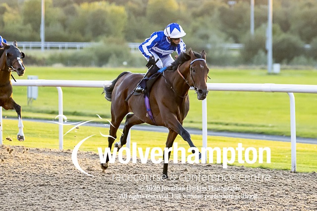 Wolverhampton Races (@wolvesraces) on Twitter photo We're back this evening for a 9⃣ race card on the Tapeta. Tune in with broadcast partner <a href="/SkySportsRacing/">Sky Sports Racing</a> with the first due off at 4:05pm. We're back this evening for a 9⃣ race card on the Tapeta. Tune in with broadcast partner <a href="/SkySportsRacing/">Sky Sports Racing</a> with the first due off at 4:05pm.