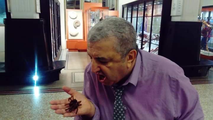 playbackgammon's tweet image. Turantuler Tuesday @McrMuseum  stay safe all