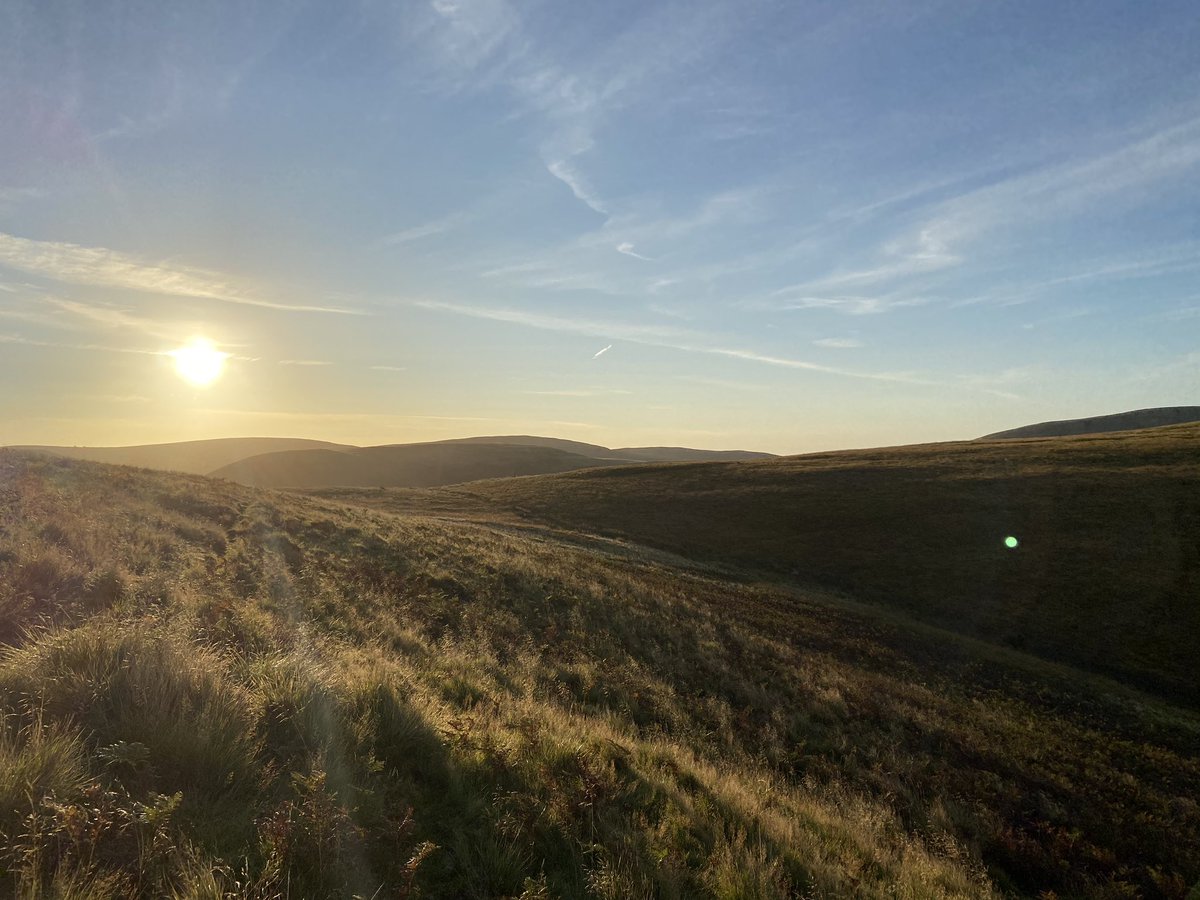 Day 2 of @TheWelshCavalry’s survival and evasion exercise. The patrols have evaded the hunter force. So far. But now the sun is up. They’ve not eaten nor slept. But they’ll dig deep to keep the team going and complete the mission. It’s what we do. #ArmyConfidence @BritishArmy