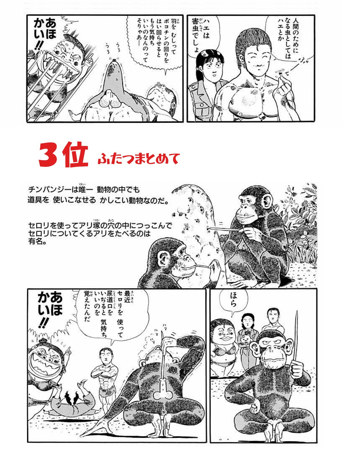 Ed Mcbeaf 下ネタ注意 ジャングルの王者ターちゃん 徳弘正也 より こんなものがよくも週刊少年ジャンプに載ったなあと思うギャグ T Co Ocfryjg8lg Twitter