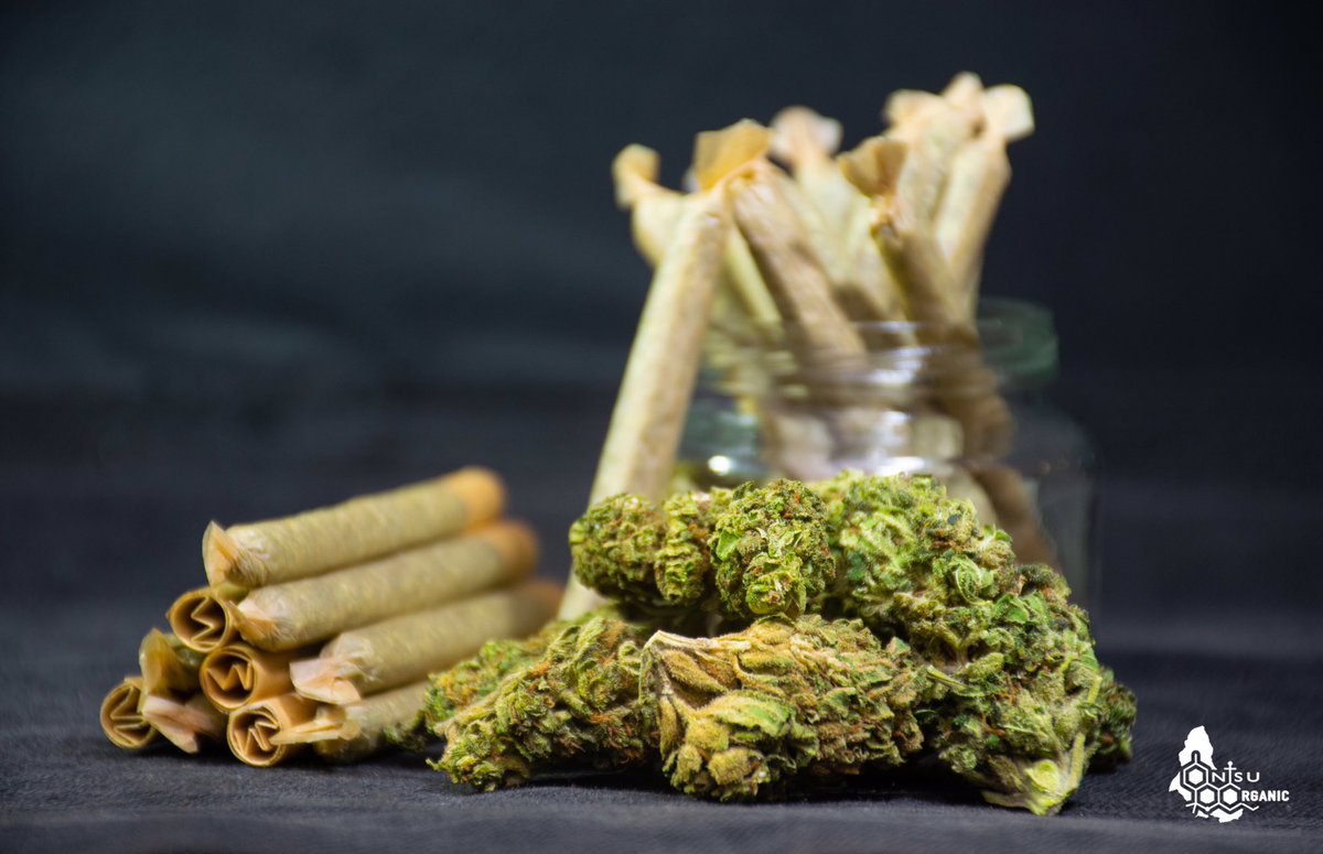 its_lelo420's tweet photo. A joint a day keeps the doctor away 😋

Plug - @NtsuOrganic012 
#Mmemberville #stoners #weedsa #StonerFam #stonergirls #420friendly #wakenbake https://t.co/ccmaMjZHqF