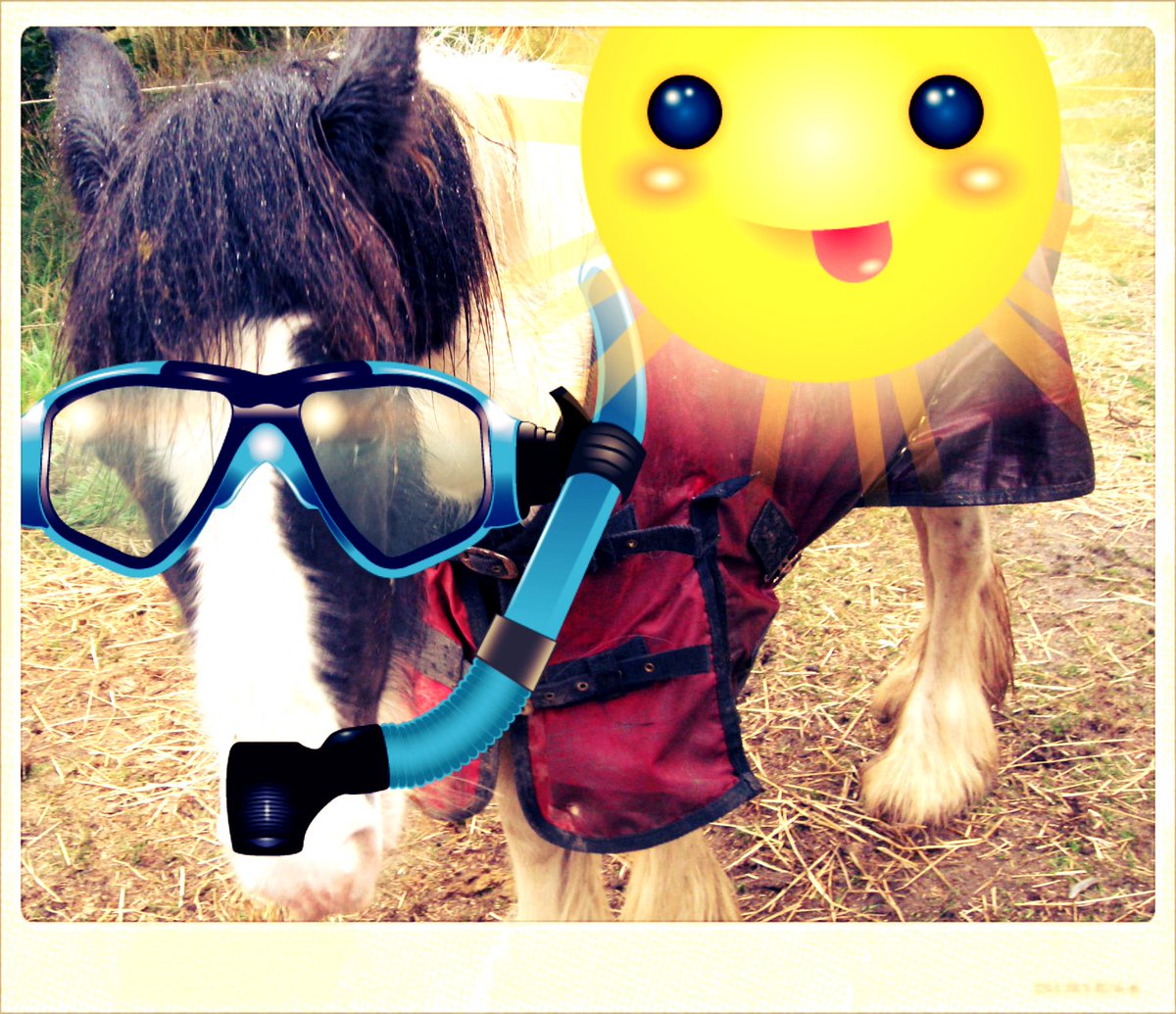#Tuesdaythoughts I'm waiting for the rain to clear as per the forecast 
"Cloud and any early showers will clear away to leave it largely fine and dry with plenty of sunshine"
BUT 
I'm prepared for anything......
Hope for the best prepare for the worst