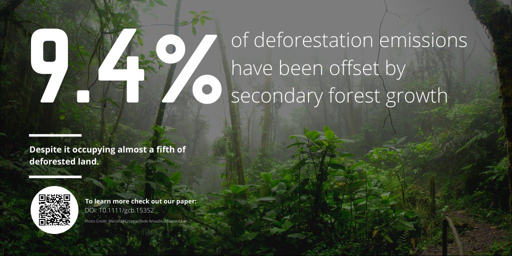 Our new paper finds secondary forests in the Brazilian Amazon have offset less than 10% of deforestation emissions since 1985. @JosBarlow  @pjyng  @ENVISIONDTP  @GlobalChangeBio  #amazon  #deforestation  #rainforest  #Brazil  #forest  #emissions  #EnvisionDTP  http://bit.ly/sf-emissions-offset