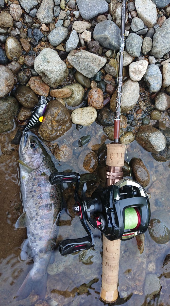 ティムコ トラウトフィッシング A Twitter ロックフィールドいとしろのオーナーでモニターでもある井村さんよりの報告です 来年1月発売予定 フェンウィックgfs47cul 5とラクス６０sにて良型アマゴ ロッド フェンウィックgfs47cul 5 ルアー ラクス60s 010クロヤマメ