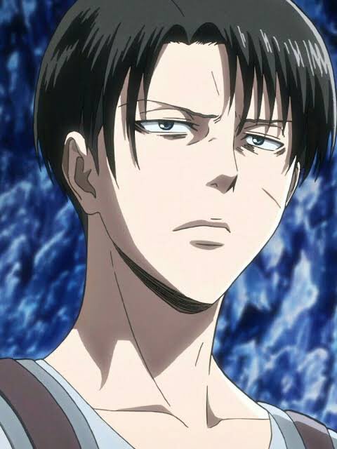 ——  levi ackerman’s perfection         and ethereal beauty ♡            ; a thread