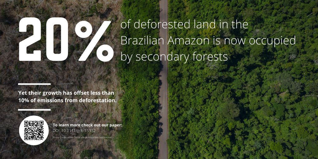 We mapped 130,000 km2 of secondary forest in the Brazilian Amazon and found it occupies 20% of deforested land. @JosBarlow  @pjyng  @ENVISIONDTP  @GlobalChangeBio  @Erika_Berenguer  #amazon  #deforestation  #rainforest  #Brazil  #forest  #emissions  #EnvisionDTP  http://bit.ly/sf-emissions-offset