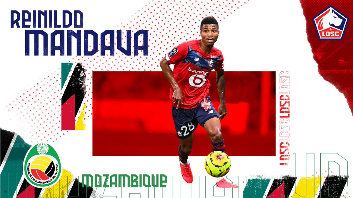 LOSC @losclive