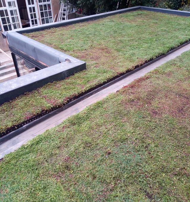 🌱DID YOU KNOW 🤔 🌱
Depending on the thickness of the system the layers of the green roof can absorb sound from going out and deflect noise coming in which is particularly beneficial in busy areas of high noise pollution.
#roofing #waterproofing