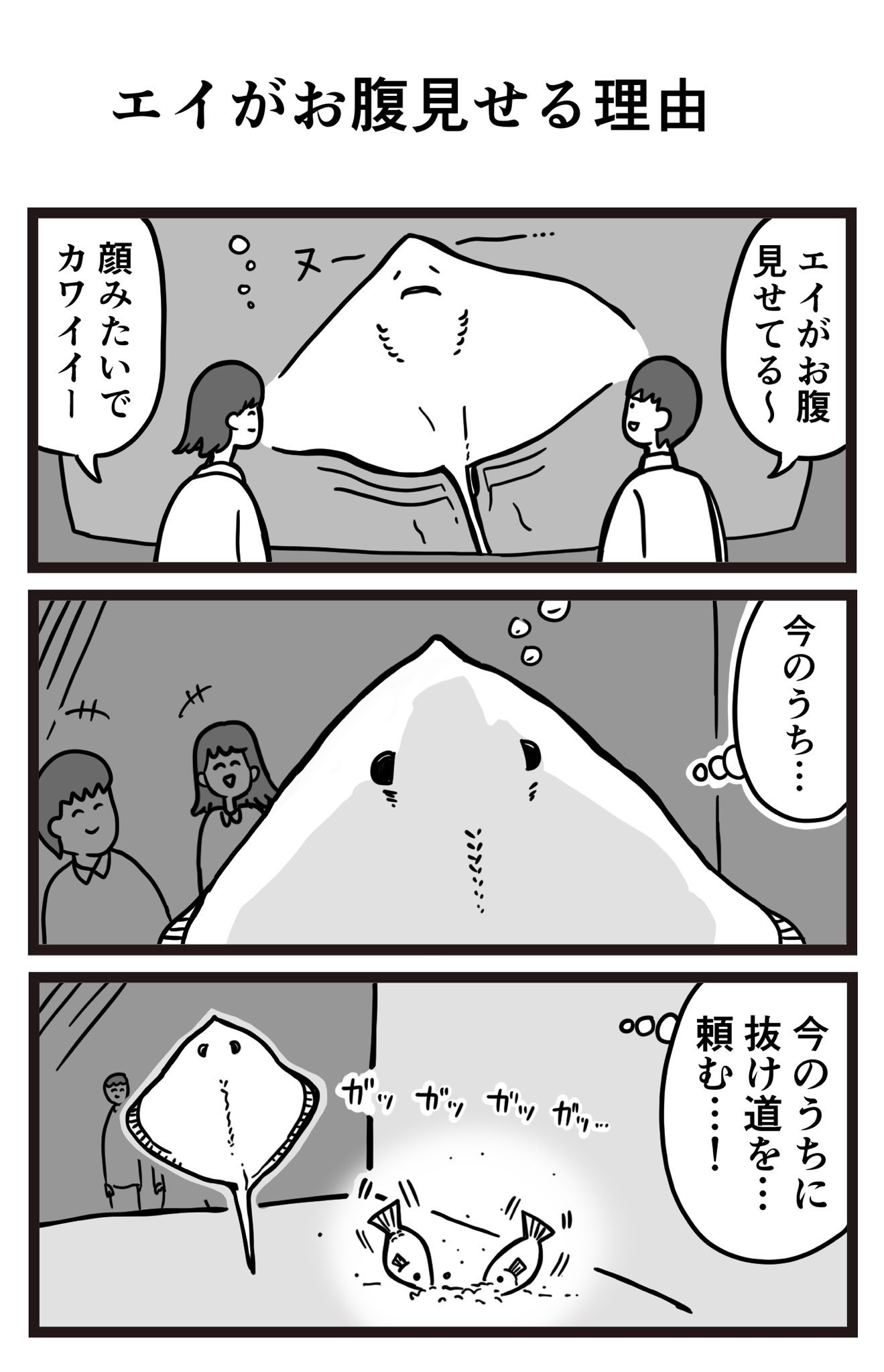 エイ セイキン