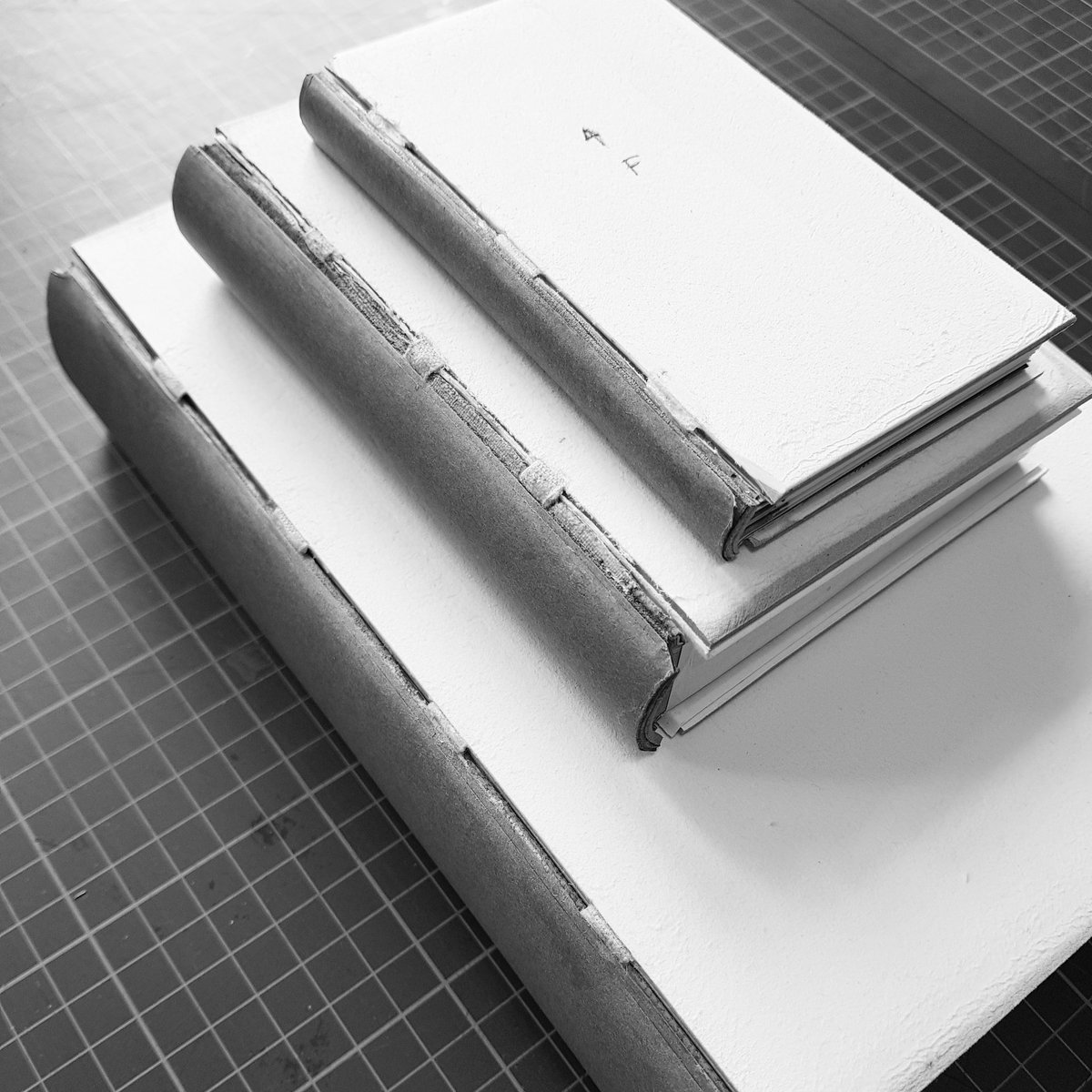 hb_bookbinding's tweet photo. It's not often I've 3 books ready for covering on my bench. The little one is the size of the sample boards I make to test out an idea for rebinding books printed on single sheets. The method involves a lot of paring &amp; a number of stubs...watch this space for more! #bookbinding https://t.co/if0nwEAyl6