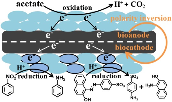 DomainsFeast's tweet photo. https://t.co/nlJvvnVeu5 $1,200 USD Buy Now or Best Offer! @Undeveloped Sedo Offer Page https://t.co/3hNCKN7w1P @Sedo One Word! #BIOANODE #Chemistry #Electrode #Science #FuelCells #Energy #Organic #Technology #Domain #Domains #DomainNames #Business #Startup #Startups #Investors https://t.co/yDbY2cOyic