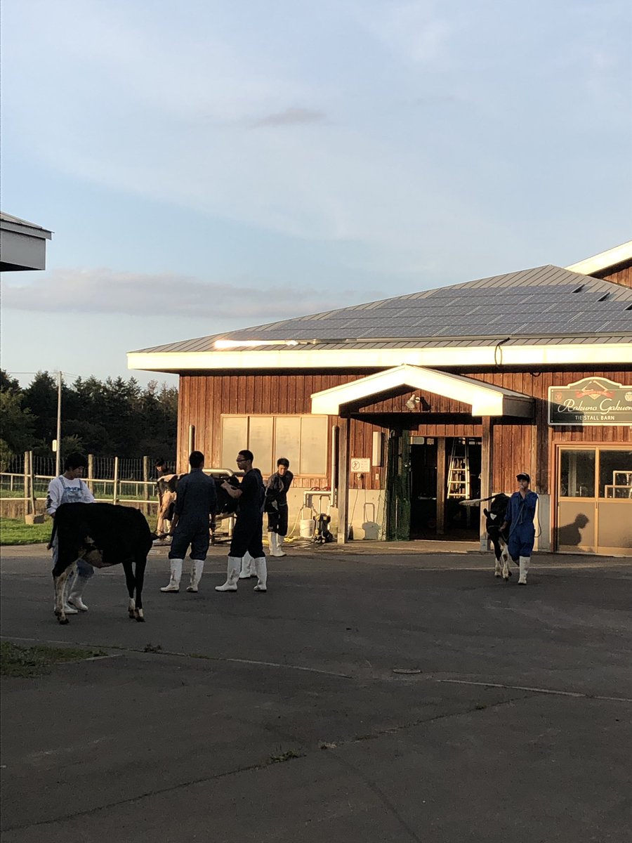 酪農学園大学 公式 على تويتر 今日の酪農生産ステーション 酪農学園大学 酪農学園 酪農生産ステーション 牛 酪農学園大学 公式 على تويتر 今日の酪農生産ステーション 酪農学園大学 酪農学園 酪農生産ステーション 牛