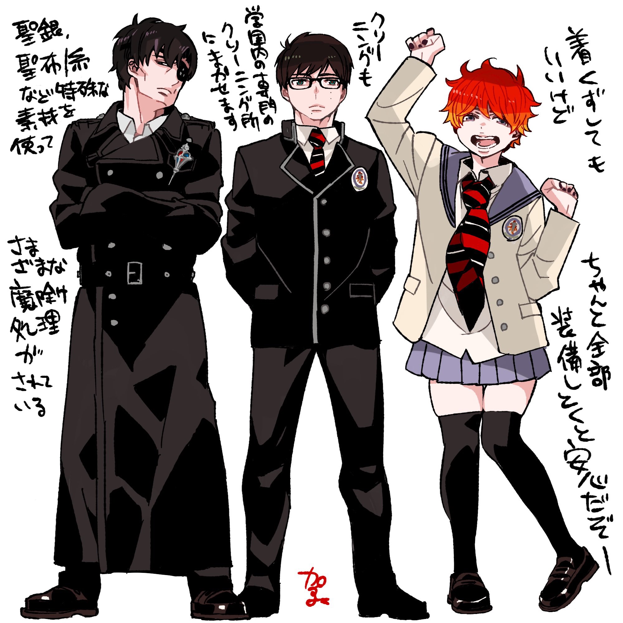 未開封 青の祓魔師 団旗 正十字騎士団　旗 Amazon.co.jp: 青の祓魔師 正十字騎士團の団旗 旗 青エク : おもちゃ