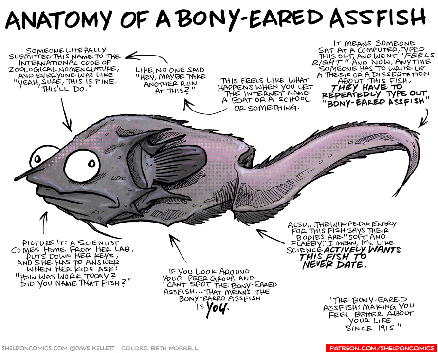 ThomLinley's tweet photo. I feel personally attacked.
I have a rant about having to use the name assfish with a straight face:
https://t.co/2MdlENQ6Zh
Credit to @davekellett
https://t.co/oYY1c6GSb1
#assfish #scicomm https://t.co/lZukt1aqCw