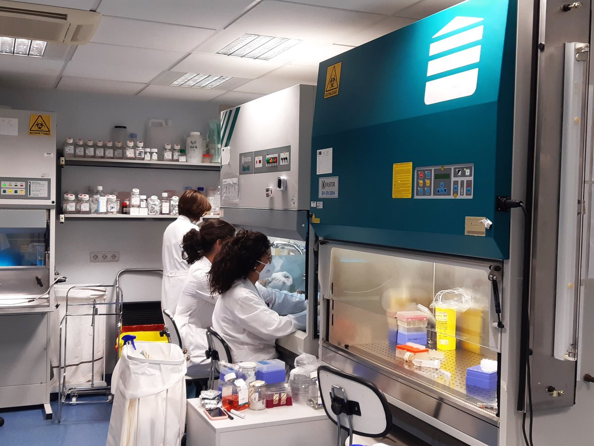 BRAVƎ (@brav3_eu) on Twitter photo In collaboration with <a href="/Ebersmedical/">EBERS Medical</a>, the fine-tuning and tests of the prototype are carried out in the #CellTherapy Lab. of <a href="/ClinicaNavarra/">Clínica Universidad de Navarra</a> In collaboration with <a href="/Ebersmedical/">EBERS Medical</a>, the fine-tuning and tests of the prototype are carried out in the #CellTherapy Lab. of <a href="/ClinicaNavarra/">Clínica Universidad de Navarra</a>