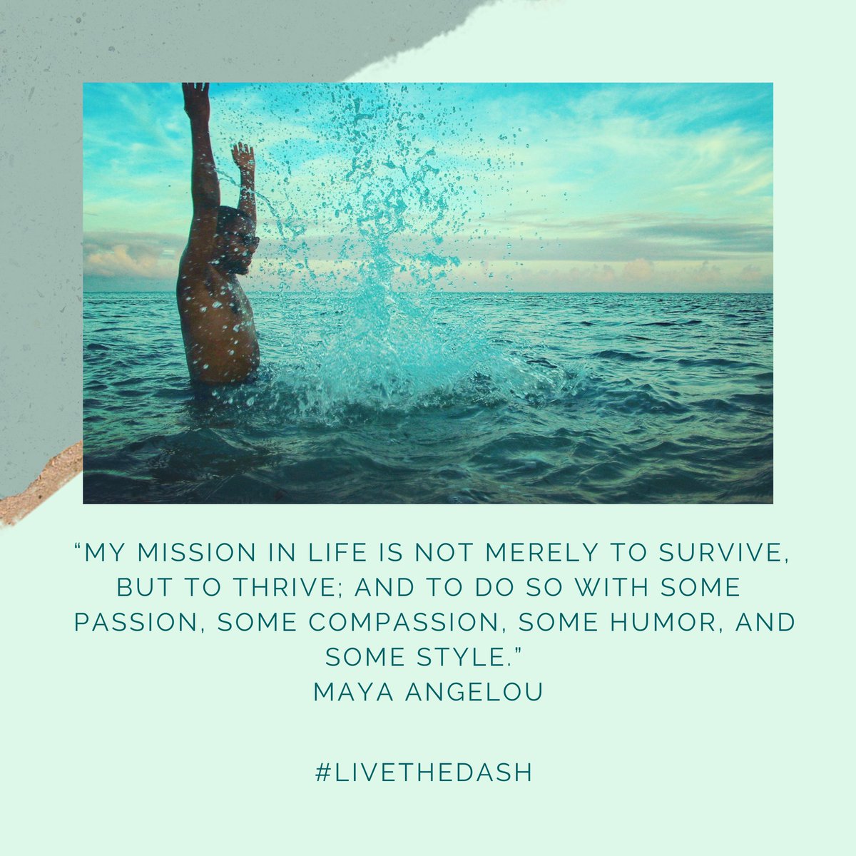 LiveTheDash_Ke's tweet photo. #LiveTheDash https://t.co/SWtuaFisdh