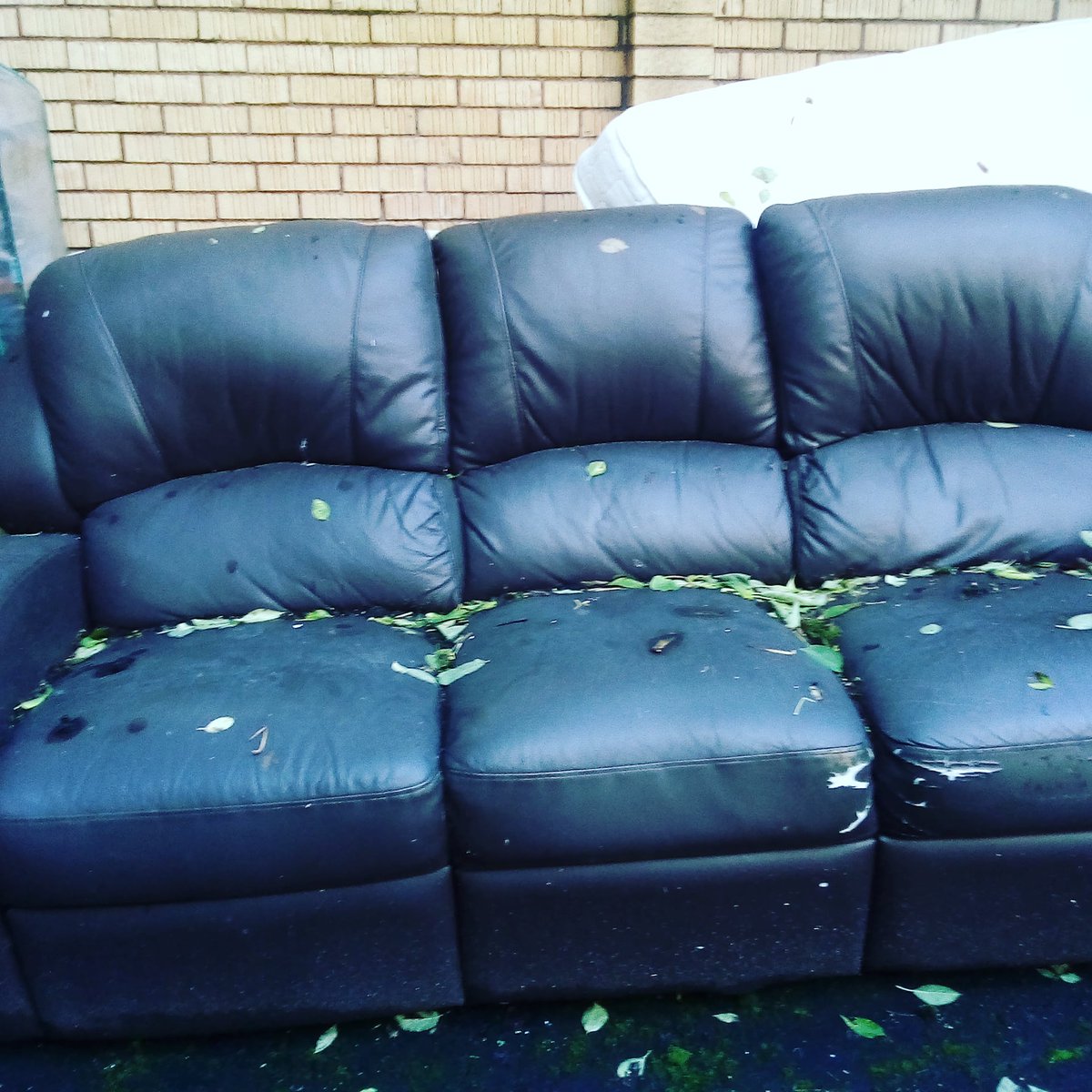 takeaseat20's tweet photo. Lorna Irvine is a freelance arts critic based in Glasgow. She misses the visceral reaction to theatre, and has been dazzled, transported, bored, engaged and even triggered- sometimes, all during the same production! 

#takeaseat
#LoveTheatreScotland
#MissingLivePerformance https://t.co/D61xLZ88hH