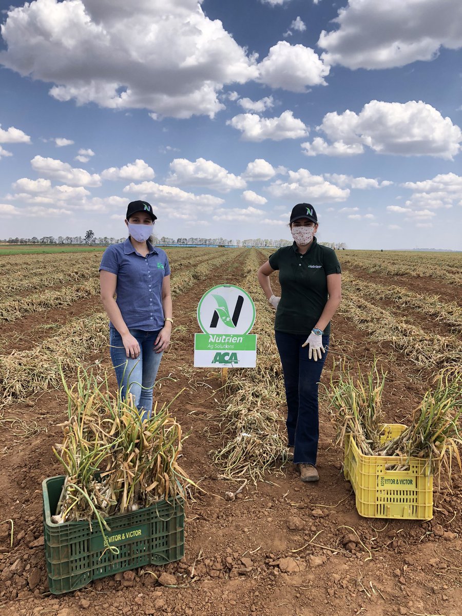 Bruna Leme (@lemebru) on Twitter photo 