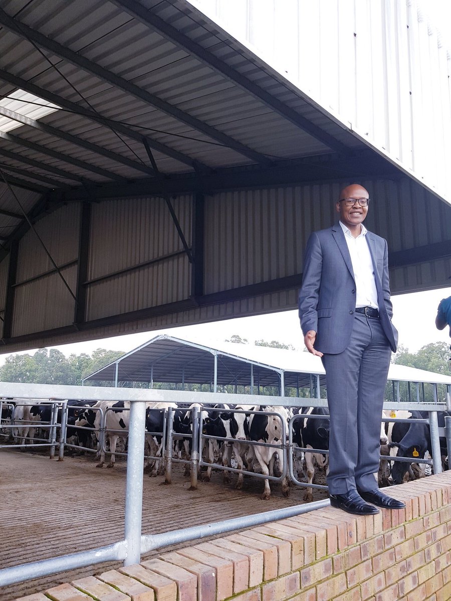 <a href="/MzwaneleManyi/">Mzwanele Manyi MP</a> <a href="/NatashaN_Phiri/">Natasha Nokuthula Phiri</a> Is this you?