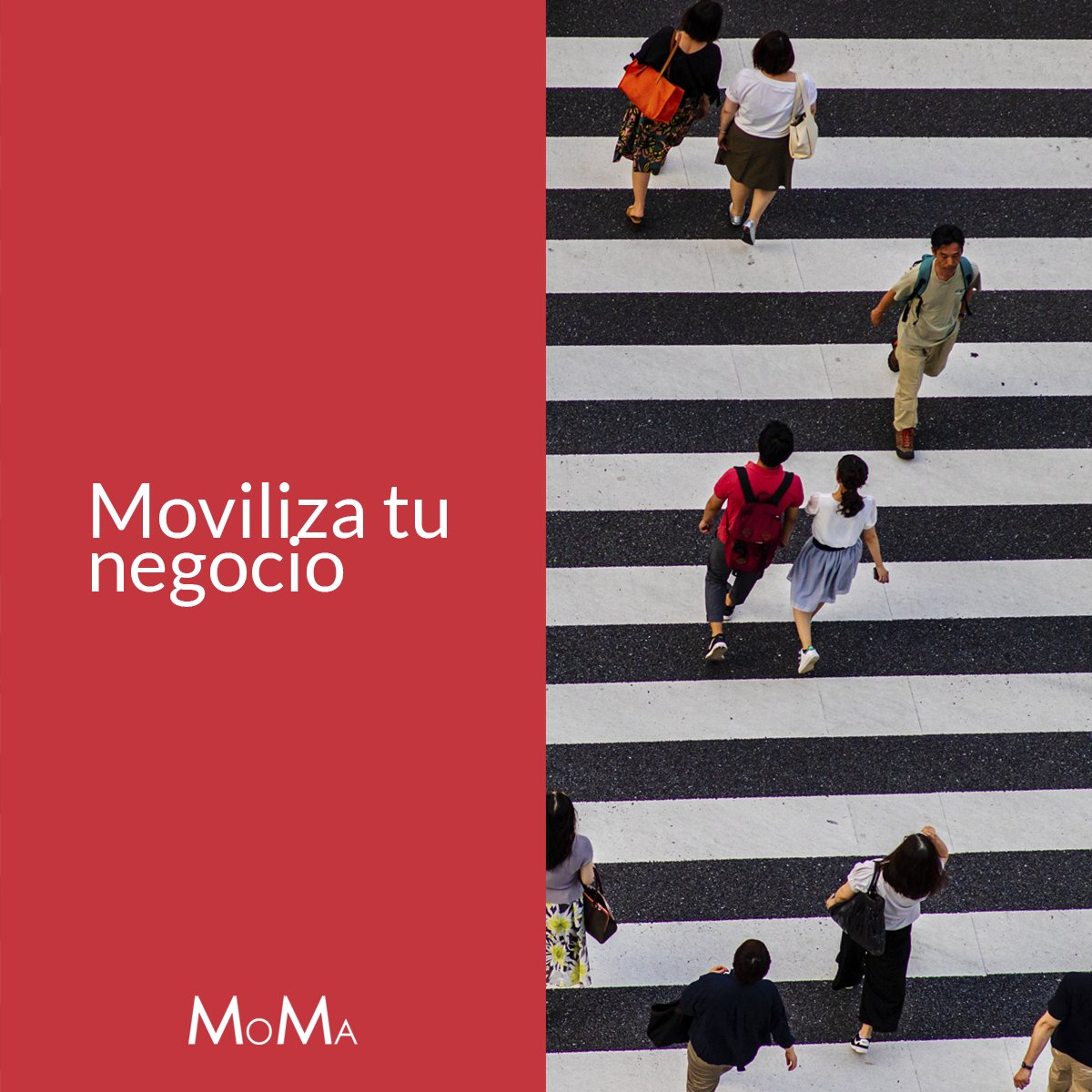 💥¡NO ESTÁS SOL@!💥
👉#MOMA te acompaña durante todo tu proceso de #digitalzación. 
Y es que, un escenario de Smart Working y Teletrabajo en su organización es posible implementando una serie de soluciones y herramientas.

¡Consúltanos sin compromiso!
☎T. 957 100 500