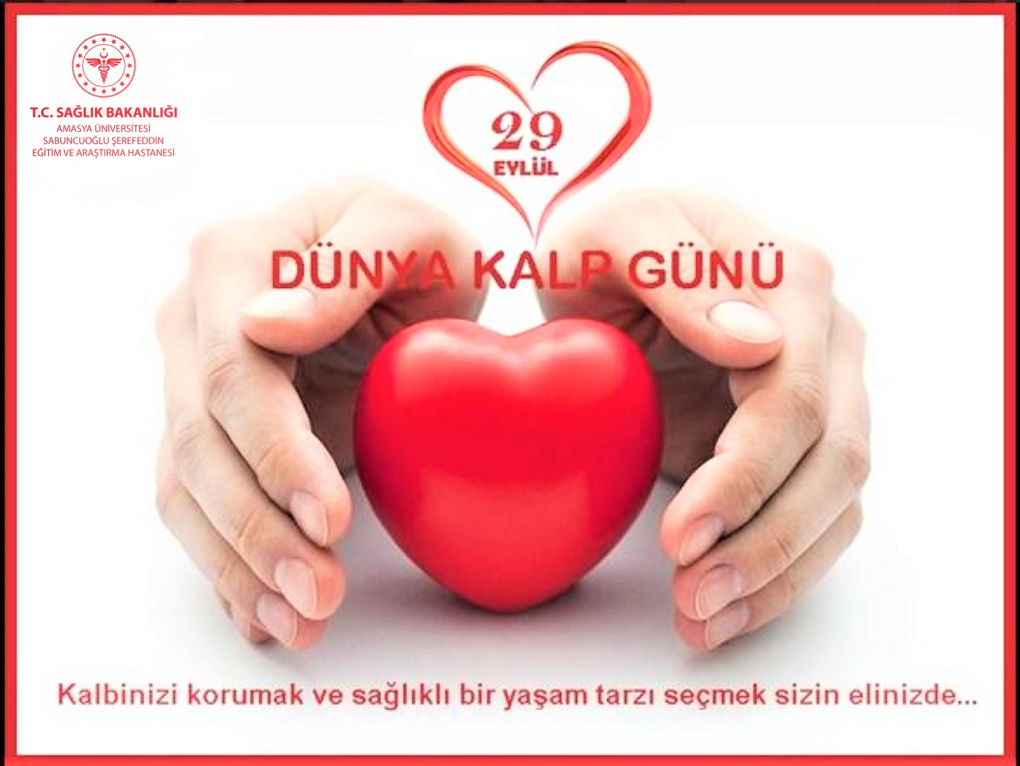 kalp sağlığı veya yaşam tarzları