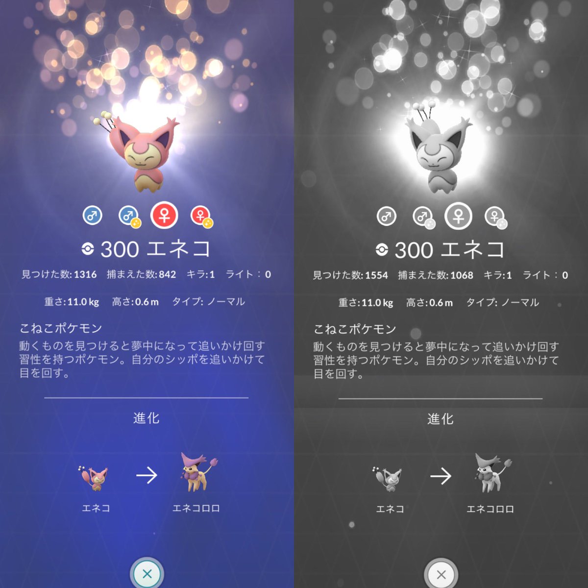 スポットライトアワー エネコの色違いはゲットできた みんなの結果まとめ ポケモンgo攻略まとめ速報