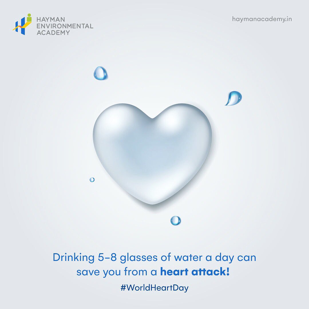 Hayman Environmental Academy (HaymanAcademy) Twitter