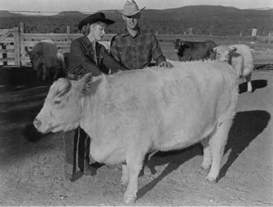 In 1949,  #GreerGarson married her third husband Elijah E. "Buddy" Fogelson. Together they owned and operated a ranch near  #SantaFeNM where a special breed of shorthorn cattle named Greers was developed. #TCMParty  #BornOnThisDay  #BOTD