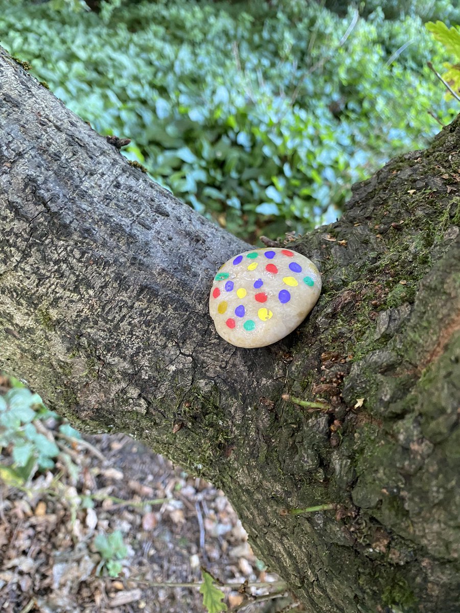 davidsilkstone's tweet photo. @PinewoodsHgt Some more painted stones / pebbles / rocks hidden in the #Harrogate #Pinewoods by 4YO toddler for people to find or relocate! One of them left on the fence at @HarlowHillTower Can you find them? #PinewoodsRocks @KateBB76 @HindLucy @NeilHind https://t.co/4MKjZMYrun
