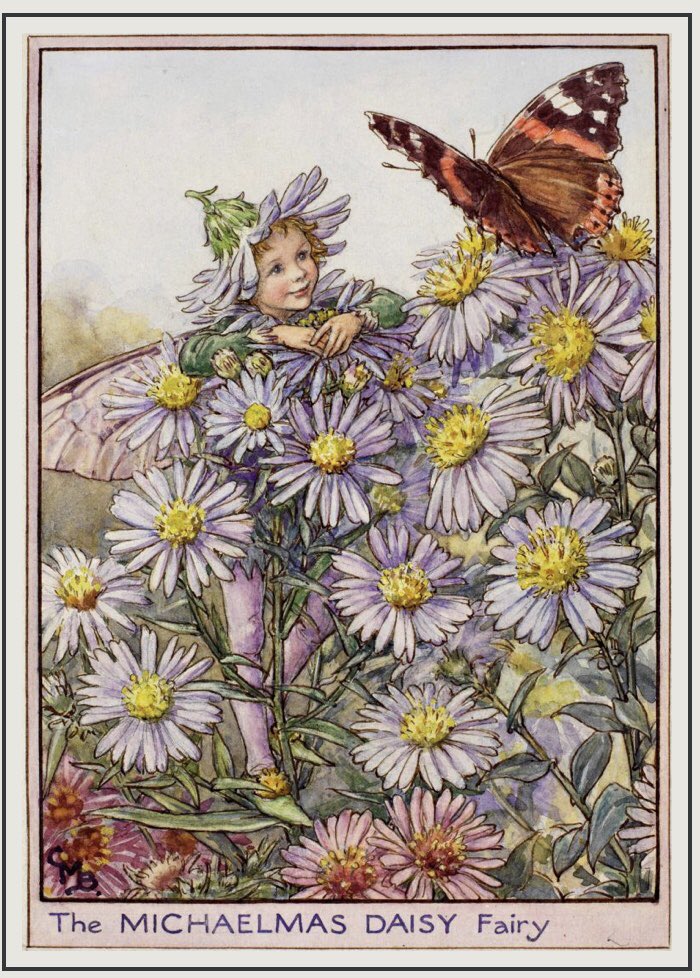 The #Michaelmas Daisy Fairy, by Cicely Mary Barker, 1944. #MichaelmasDay is the feast day of #StMichael the #Archangel, angelic protector-in-chief against the forces of darkness. #FairyTaleTuesday