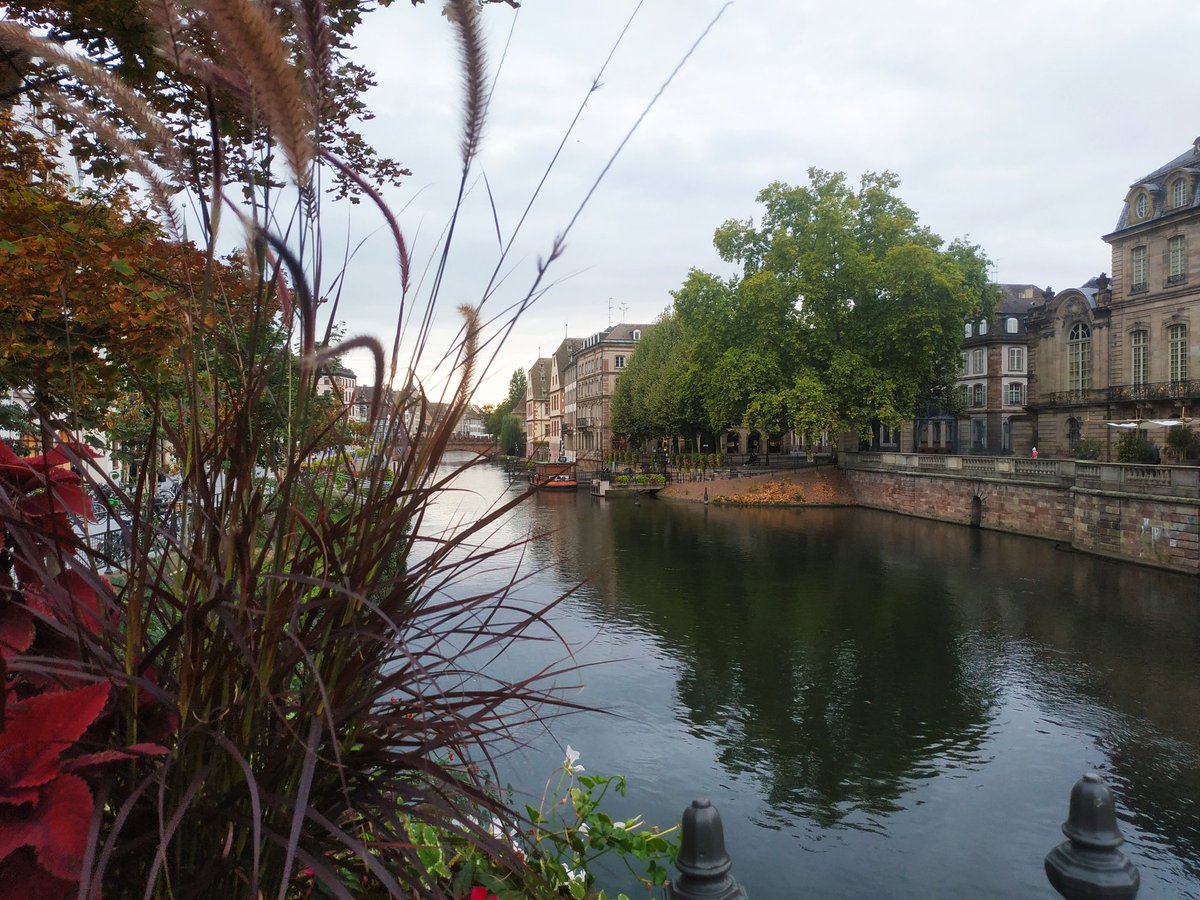 #Strasbourg rdv avec l'association L'Etage pour le conseil de territoire Alsace ! Soutien pour les plus précaires #AvançonsCollectif