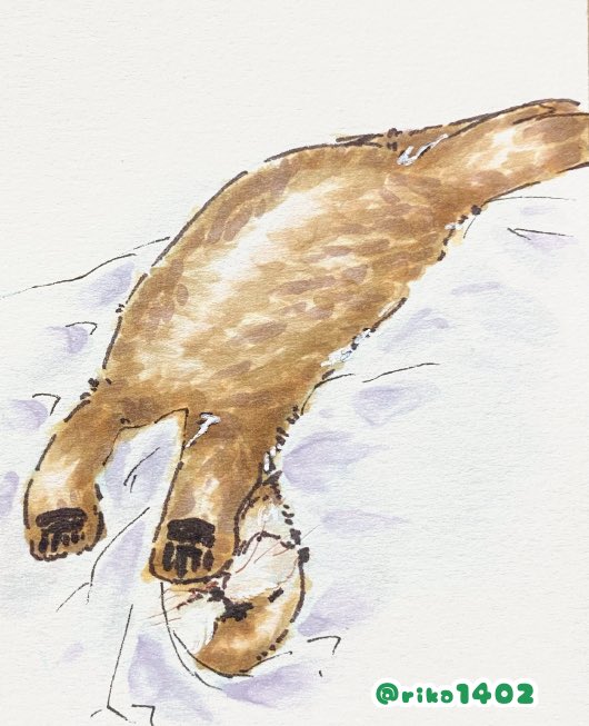 ラッコのtwitterイラスト検索結果 古い順