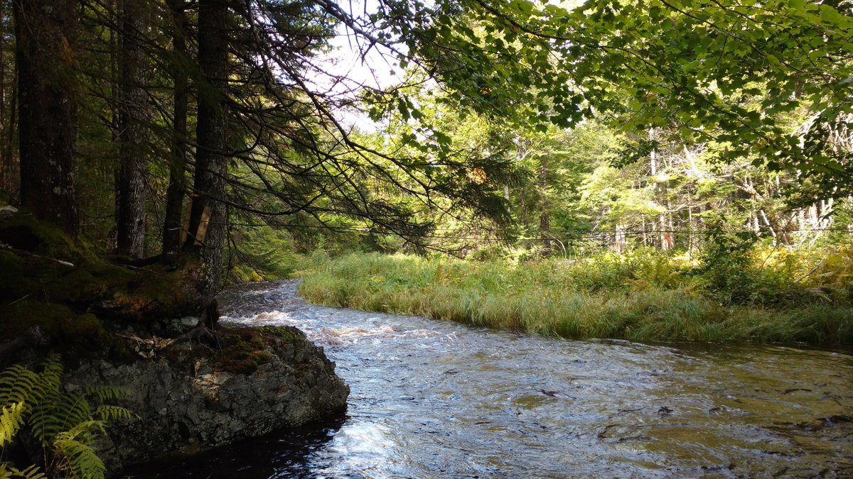 eosense's tweet photo. The catch of the day!
Another great floating #eosFD to measure #CO2 flux from a river here in NS - both up and downstream of a lime doser. @NSsalmon @Dal_ESnENVS @WaterStudies are investigating the potential for lime dosing to generate #carbon sequestration
@Campbellsci_CA https://t.co/GUz3WvqoFg