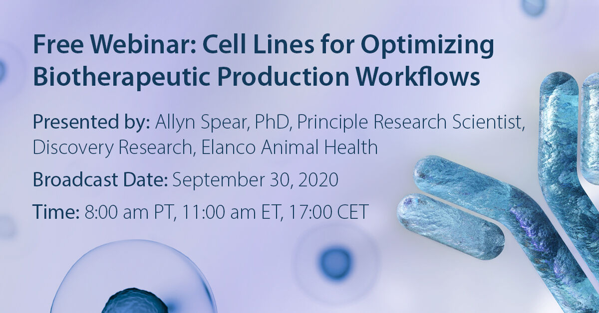 HZDiscovery's tweet photo. Last chance to sign up for tomorrow's @GENbio #Bioproduction webinar. Join Dr. Allyn Spear, Principle Scientist from @Elanco Animal Health discuss how their group used our #CHOSOURCE cell line to optimize biotherapeutic production. https://t.co/2znS2ODtee
#InspiredCellSolutions https://t.co/WJB9lI44aw