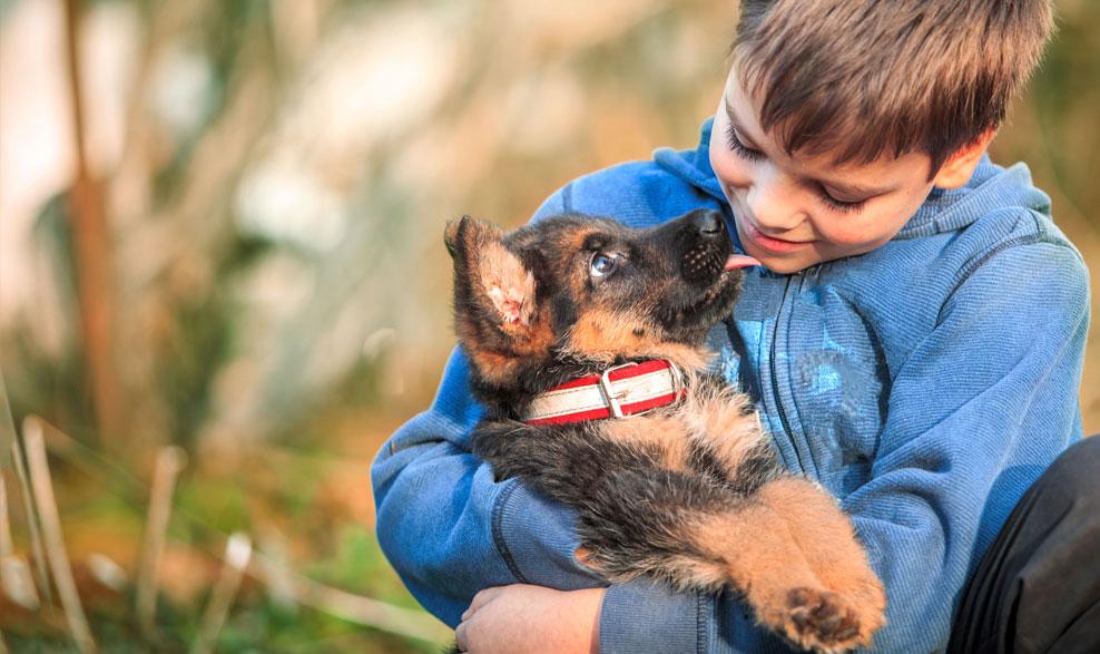 USAA's tweet photo. Pets offer unconditional love, and all they ask in return is proper care and attention. Do you have an extraordinary pet? Share your #PetPics with us for #PetInsuranceMonth and learn how to protect your pet at https://t.co/kpjyiLikbg. https://t.co/Bb708QY2sP