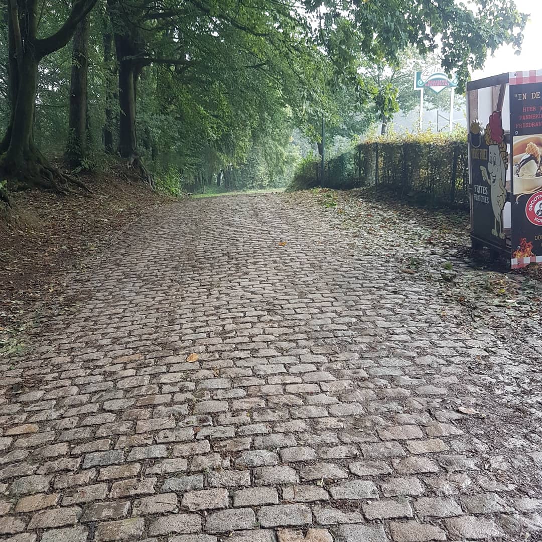 AnnSophieDuyck's tweet photo. Recon of the @GentWevelgem course this morning. And I wasn't the only one on the plugstreets preparing for the race 😉 (good job btw).
🍁 🍂 🍃 🌬 🌦
@PushingDreamsNL
#gentwevelgem #gentwevelgem2020
#plugstreets
#kemmelberg
#meningate
#InFlandersFields
#lestweforget https://t.co/SoRQnzeFbT