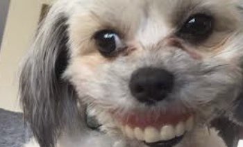 cloudvibes_'s tweet image. My friend: says sum dumb

Me: