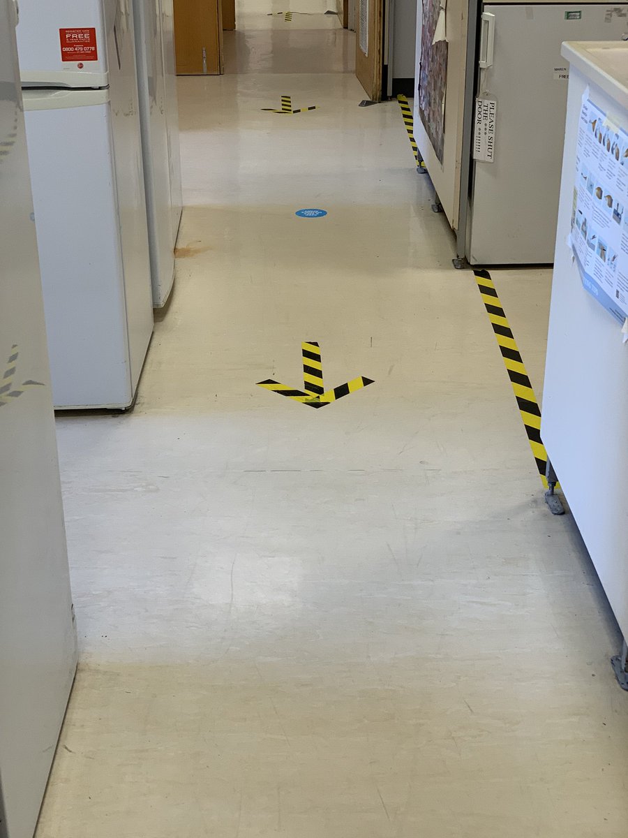 It’s my second week in the lab after lockdown and I am still adjusting to the #NewNormal <a href="/GoldmanLab/">Goldman Lab</a> <a href="/ViBrANT_itn/">ViBrANT</a> <a href="/UniversityLeeds/">University of Leeds</a>