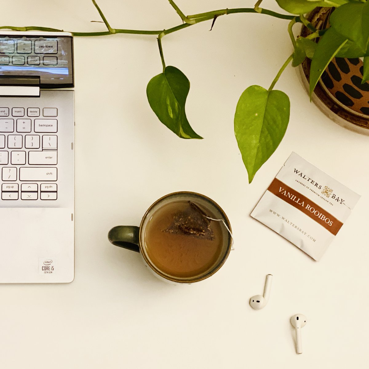 WaltersBayTea's tweet photo. Gotta remember to treat yourself in these crazy times! Taking a work from home tea break with our delicious and calming Vanilla Rooibos. How do you treat yo' self?

#waltersbay #waltersbaytea #shoponline #healthy #herbaltea #hottea #vanillarooibos #treatyoself #covid #wfh https://t.co/fY53blkf1k