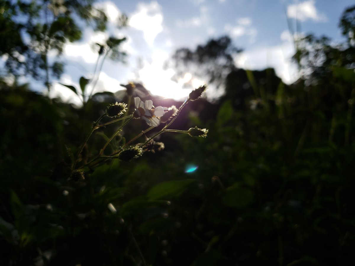 Nar_en19's tweet photo. #naturelovers #blog #DegreeChallenge #ScienceTwitter https://t.co/4QmEig0xOF