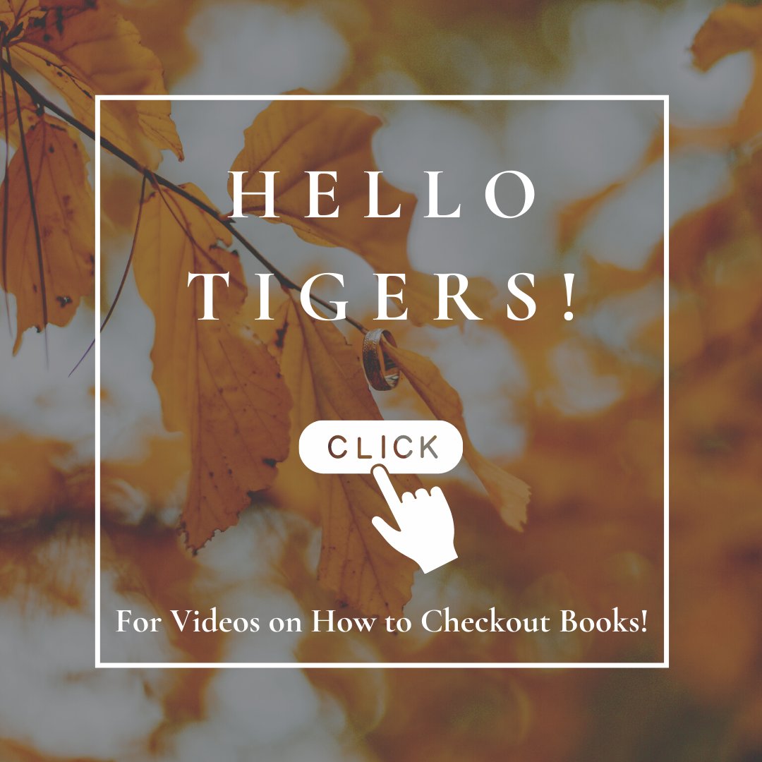 SSMS Center for Learning and Innovation tweet media