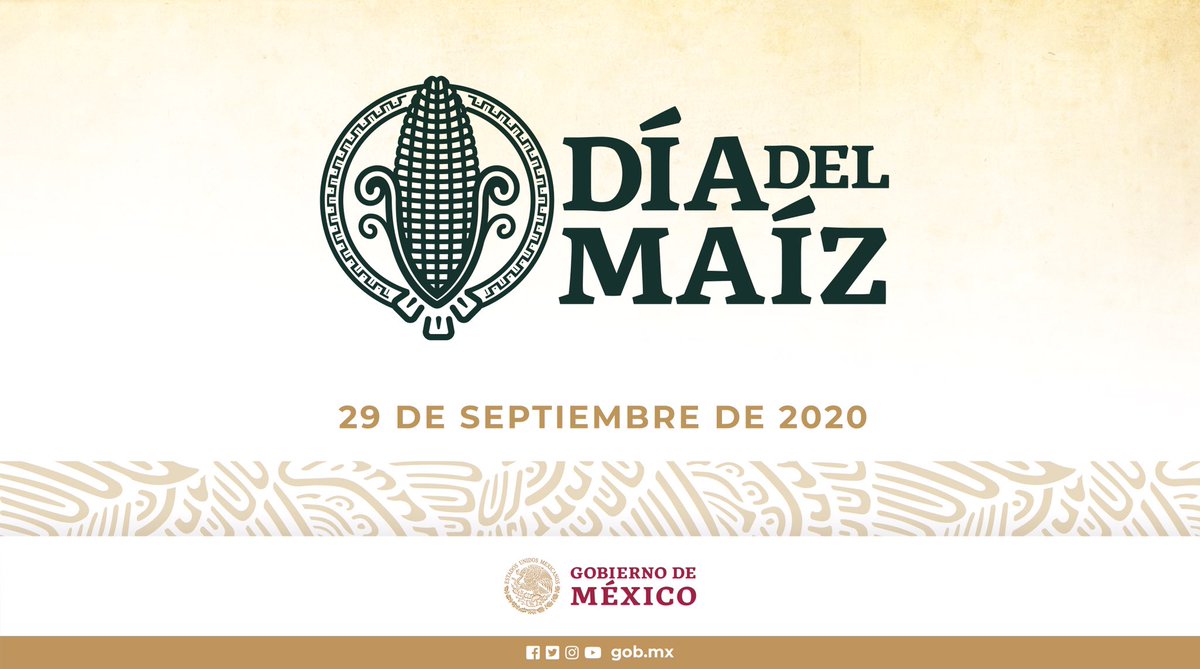 GobiernoMX's tweet photo. El maíz es vida, cultura, identidad e historia. 

Planta sagrada para nuestros pueblos y base de nuestra alimentación, hoy conmemoramos el #DíaNacionalDelMaíz refrendando nuestro compromiso con su protección, cuidado y sano cultivo. 

Sin maíz no hay país. https://t.co/A4ACecyhqX