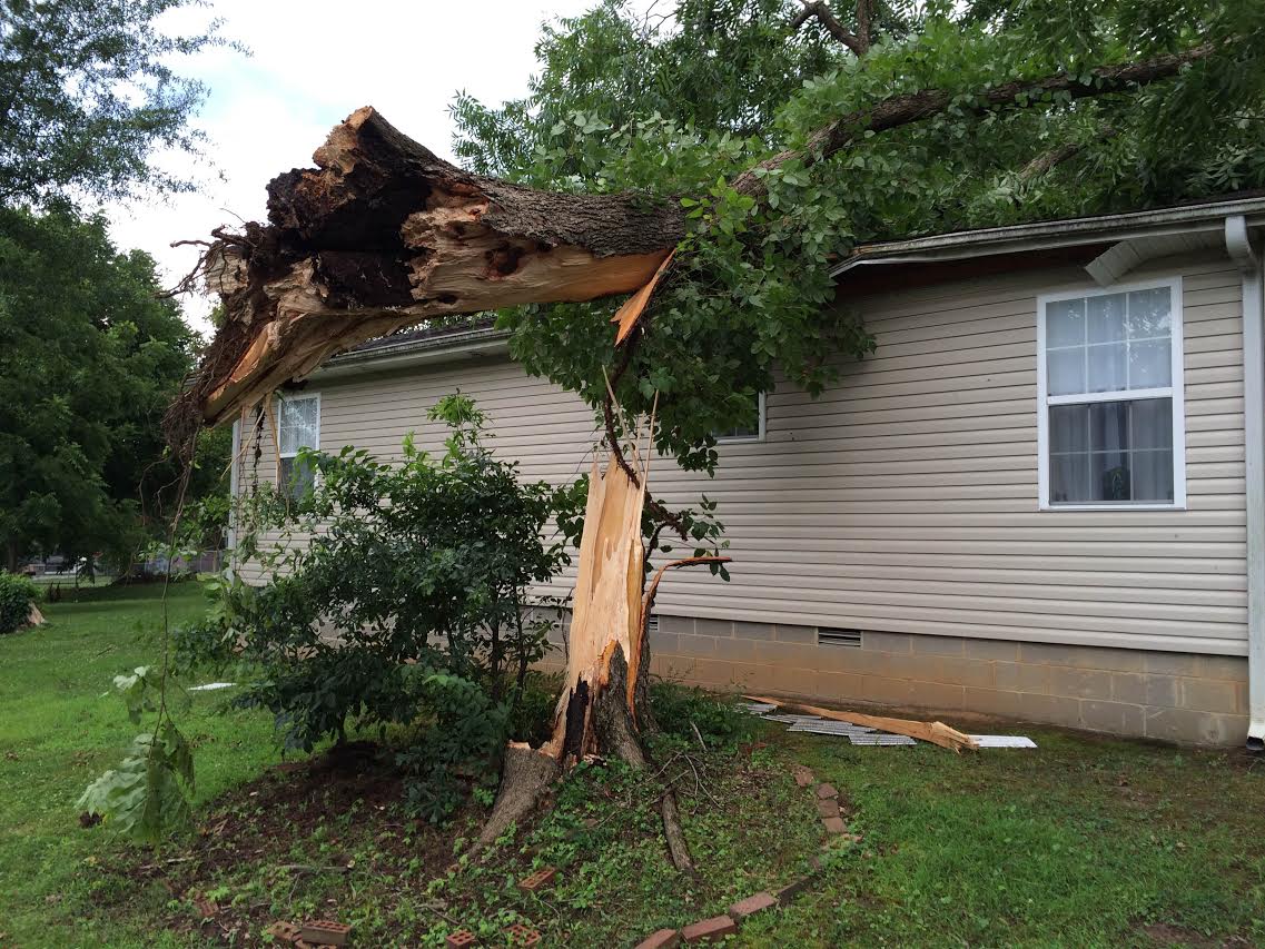 1stRestoration's tweet photo. This tree snapped, landing on the roof of the house. We removed the trunk and repaired the roof to make the home habitable again. #stormdamage #stormdamagerestoration #stormdamagecleanup #stormdamagerepairs https://t.co/N6sASklXAv