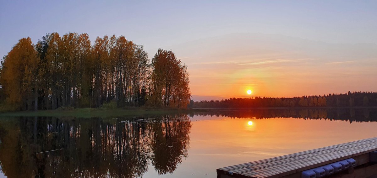 Listening to #IUFROSSFE2020. The virtual settings work fine and I did not need to compromise the lake-side settings. Thanks for great presenters and the organizing team!