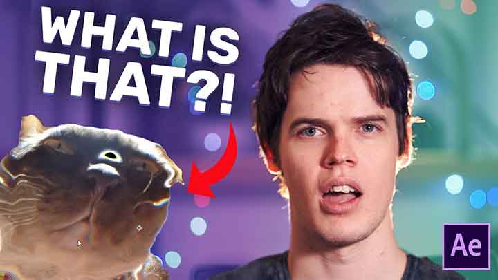 lesterbanks's tweet image. Plugin Everything Previews Displacer Pro for After Effects lesterbanks.com/2020/09/plugin… #Ae #pluginEverything