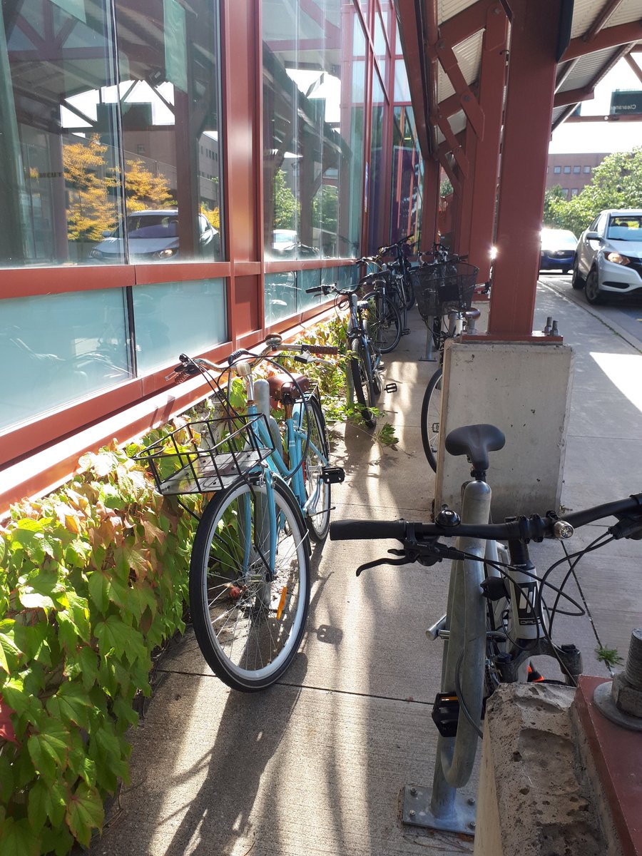 Bike Mayor Halifax tweet media